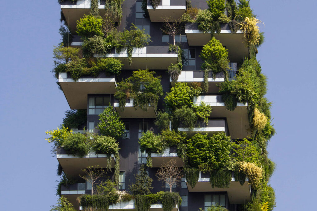 budgets verts